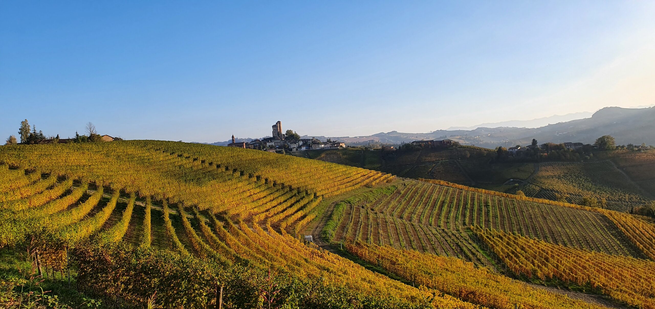 colline, vigneti, langhe, campagna