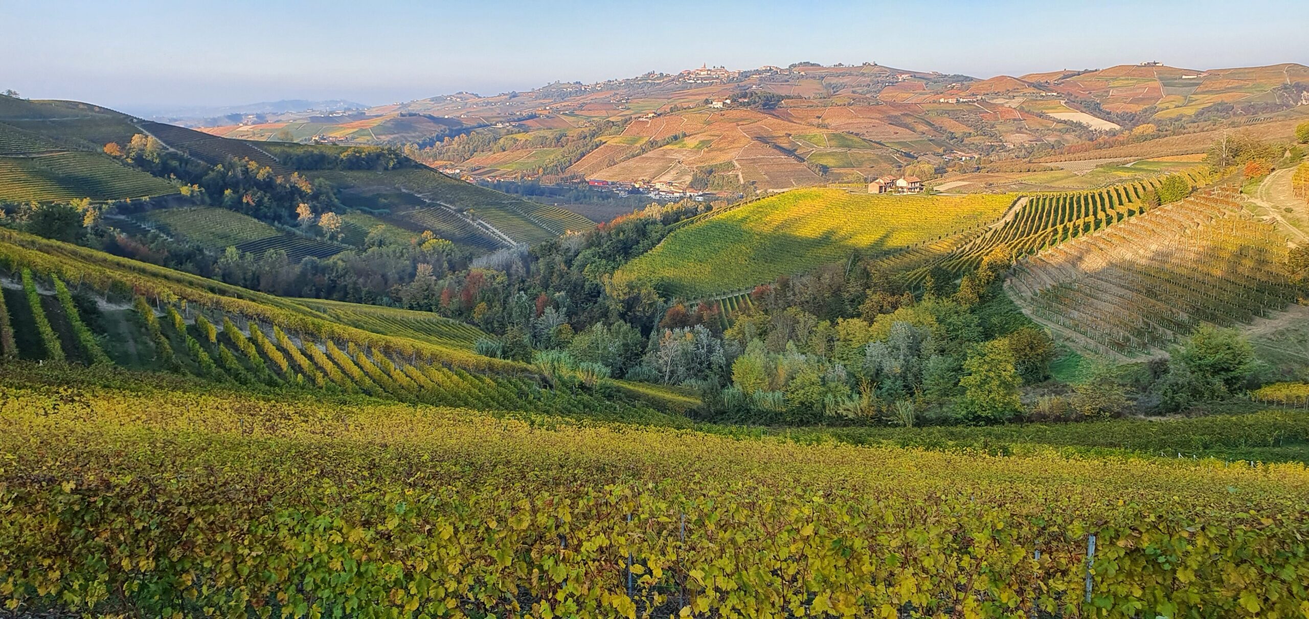 colline, vigneti, langhe, campagna