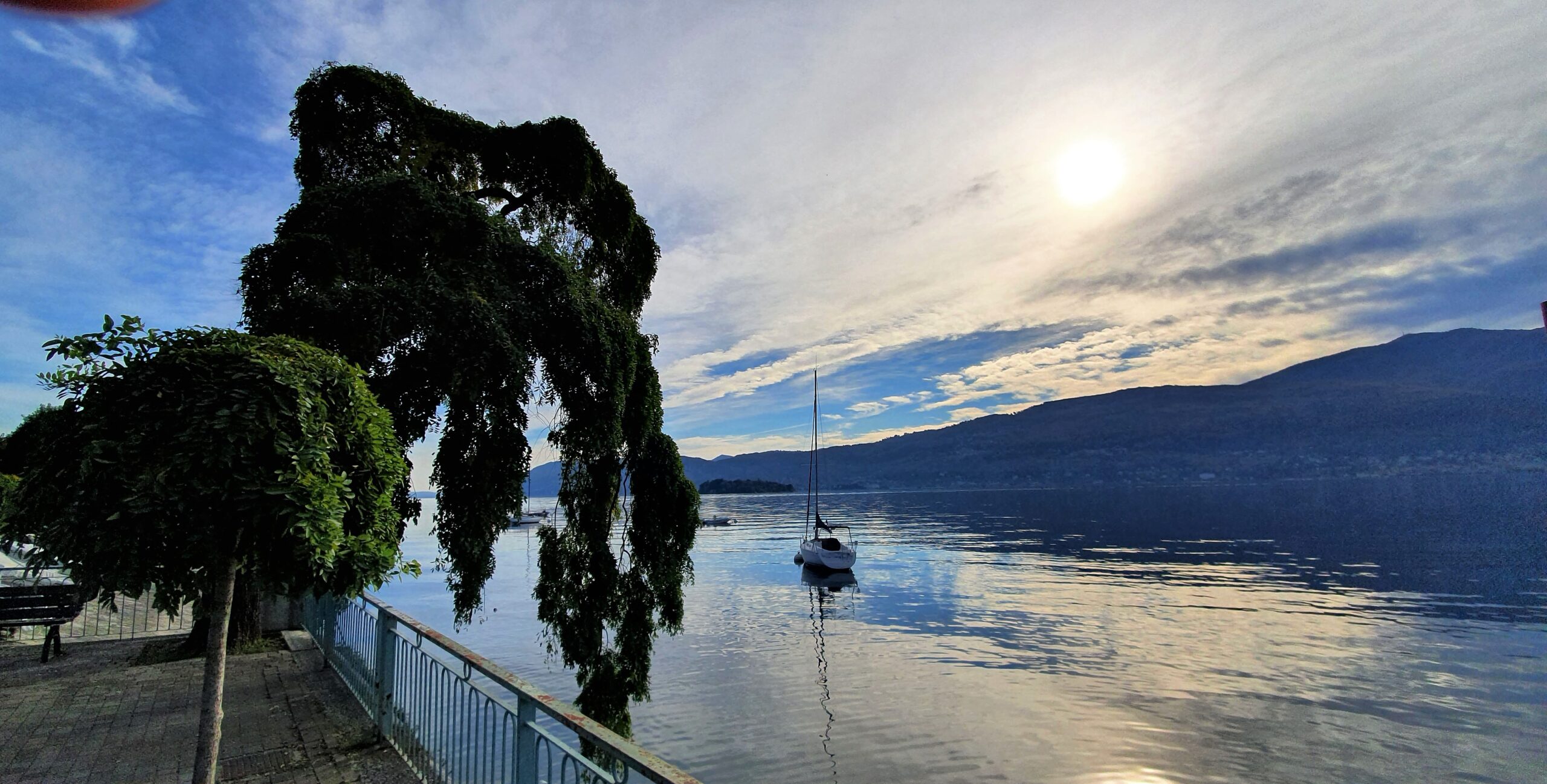 lago, barca, foglie, autunno, albero, tramonto