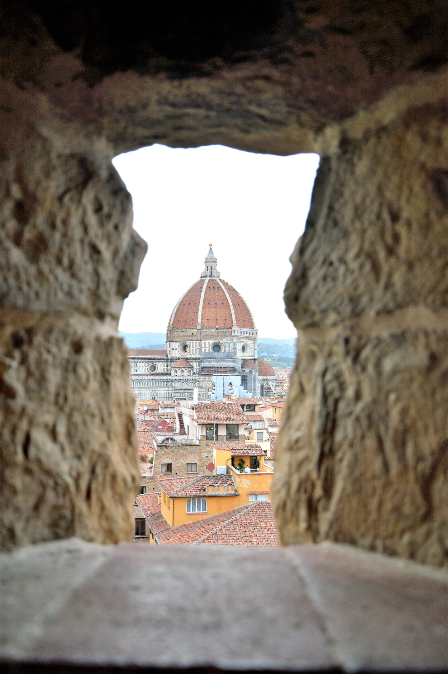 duomo, firenze, cupola