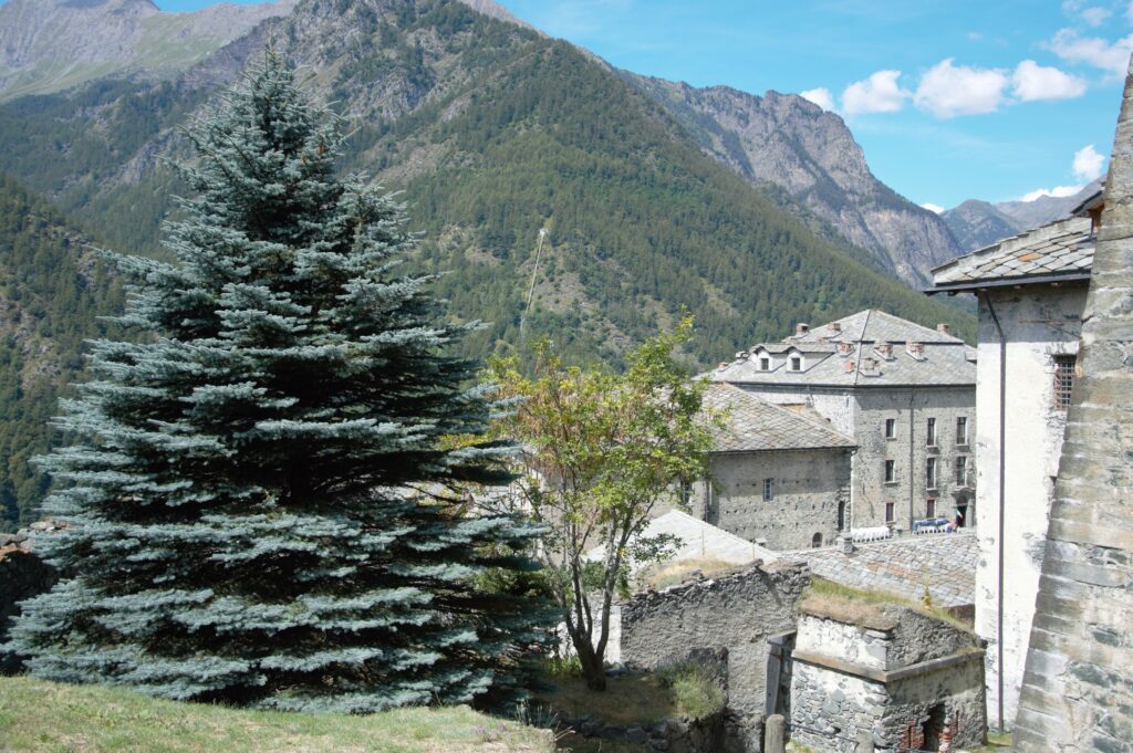 pino, forte, fortezza, montagna